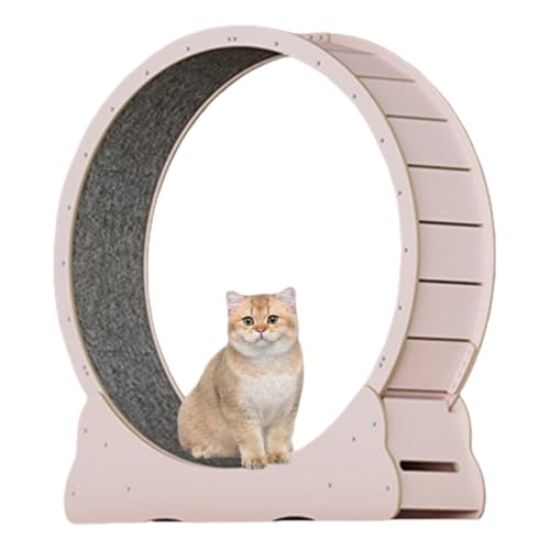 キャットホイール おもちゃ」の人気商品一覧 | 安い商品を通販サイト