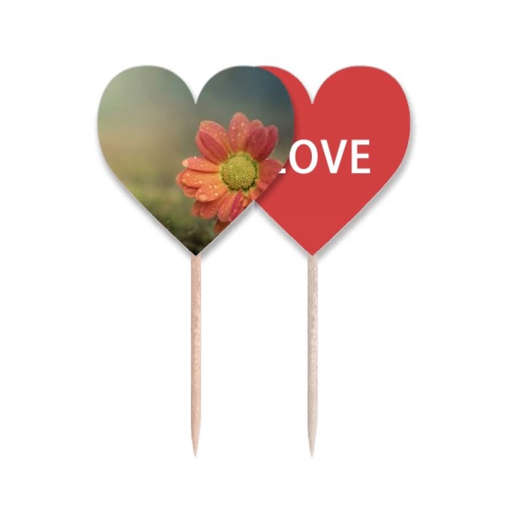 Cure-dents Love Heart rouge foncé pour exprimer votre affection lors des repas de fête