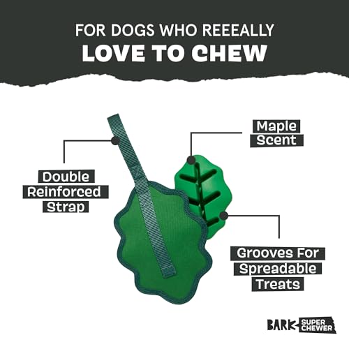 Barkbox Green Chew Leaf Dog Toy for Small Dogs – 2-in-1 Design with Mixed Textures and Surprises, Perfect for Tough Chewing and Playful Pups