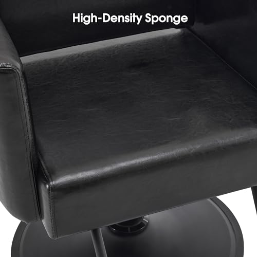 BarberPub Modern Salon Chair, All Black Barber Styling Chair for Hair Stylist, 440 Lbs Heavy Duty Hydraulic Pump, 360 Degrees Swivel, Beauty Spa Styling Equipment 9412