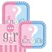 JJ Collections Gender Reveal Themed Baby Shower Napkins and Plates (Serves 16)