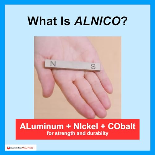 Discover the Wonders of with Dowling Alnico Bar science and education