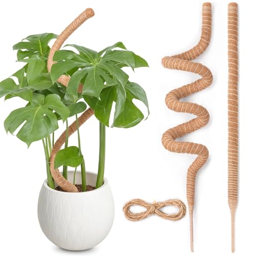 Tutores para Plantas, SproutMaven 2X 160 cm de Poste de Musgo de Monstera, Trepadoras Estacas Hechas a Mano para Plantas de Interior