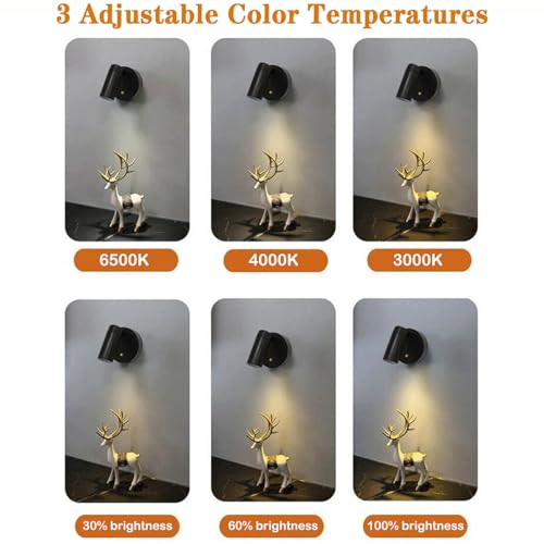 Image of Neioaas Spotlights Indoor -Rechargeable Plant Spotlight, Black