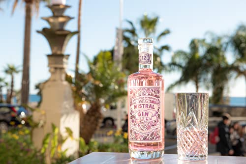 MistralGin Provence Rosé Dry (1 x 0.5l) - Image 5