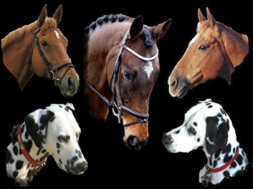 Peinture diamant 5D cheval et chien mosaïque résine ronde 50x70 cm - 2