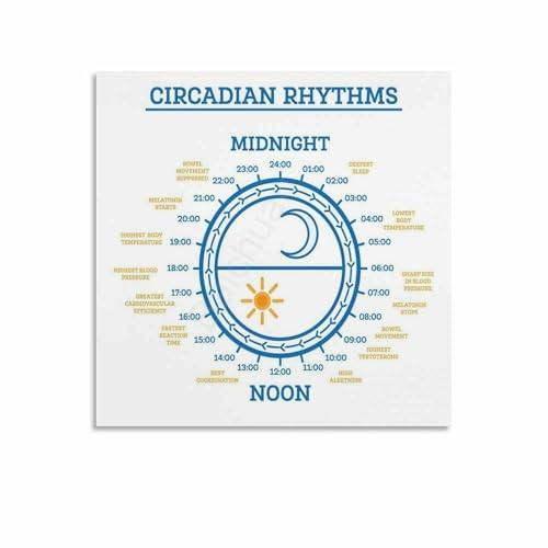 Circadian Rhythm Chart Guide Poster 2 Canvas Painting Wall Art