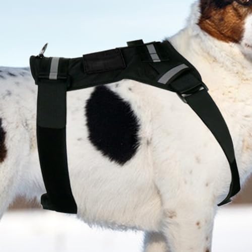 Arnés para cámara de perro chaleco ajustable exterior deportes viaje 4