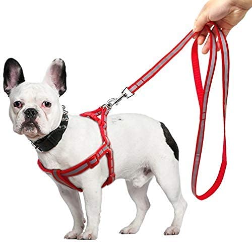 D&C Paws Reflective Nylon Dog Harness and Leash Set for Puppies and Dogs 15mm, Red (Color May Vary) (B094H2DBTD) Amazon Price History, Amazon Price Tracker