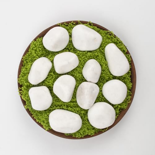 Image of 10lbs White River Rocks, Polished Pebbles for Plants, Garden, 1-2 Inch Decorative Stones, Ideal for Fish Tanks, Vases, Crafting, and Landscaping (Weight : 10 LB, Pure White)