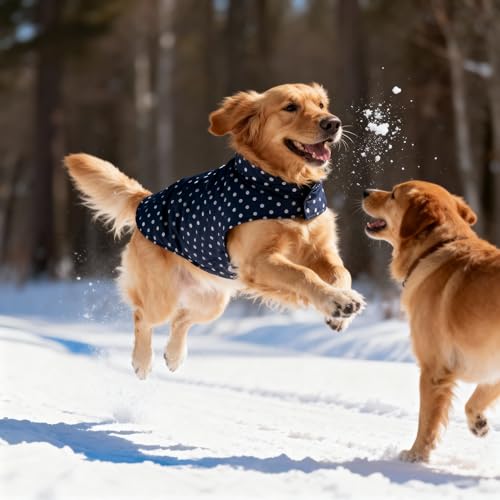 Image of Joydaog Nordic Blue Reversible Dog Jacket 24 Inch (2XL) - Navy Polka Dot x Quilted Blue | Fits Golden Retriever, Labrador, German Shepherd | Warm Winter 2-in-1 Coat
