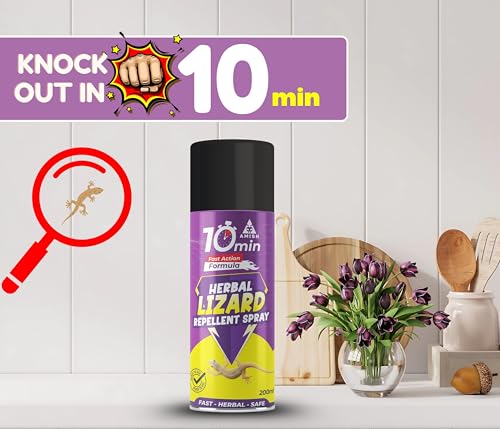 Image of Amish Aerosol Ultra Lizard Spray 200Ml Pack Of 1 Ready To Use For Home, Office, Warehouse Indoor Lizard Spray Safe Eco-Friendly Solution With Amish Say Goodbye To Lizard