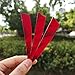 HANDBAIGE 36pcs 4-Inch Shield Cut Natural Feathers Arrow Real Fletchings Archery Right Wing Vanes Arrow Turkey Fletches for Hunting and Shooting (Red)