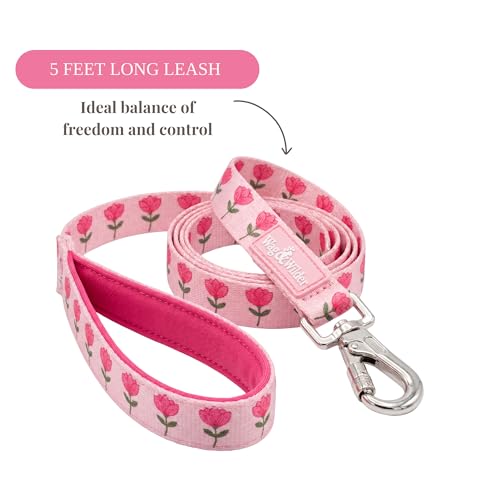 Image of Wag and Wilder Dog Collar and Leash Set Medium for Beagle, Pit Bull Terrier & Boxer - Heavy Duty Adjustable Collar & 5 FT Leash Combo, Jaipur Bloom Pink
