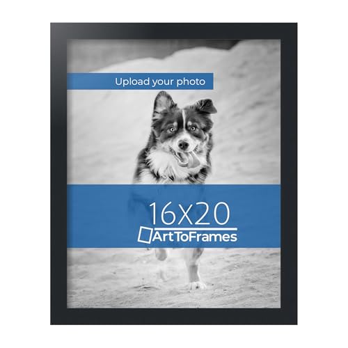 ArtToFrames Custom Framing on Amazon Custom Printed High Definition Quality Photo 16x20, Framed in Black Frame with No Mat