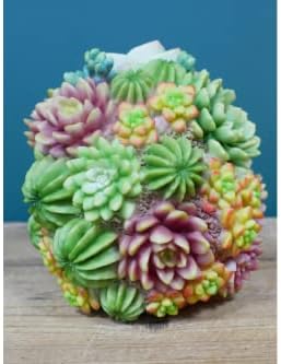 Gothic Candy Skull Ornament Shelf Table Desk Sculpture Home Decor Skeleton Gift Skull With Succulant Cactus Floral Flowers, Multicolor, S