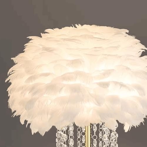 Lámpara de hierro elegante con acabado de plumas 6
