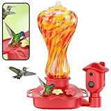 Smart Glass Hummingbird Feeder with Camera, 2K HD Live View, 2.4GHz WiFi Only, Solar-Assisted Outdoor Bird Feeder, App Motion Alerts, AI Bird ID, Ant Moat, Easy Clean Drip-Resistant Nectar Feeder