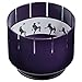 Brainstorm Toys Zoetrope- The Classic Animation Toy, Multi