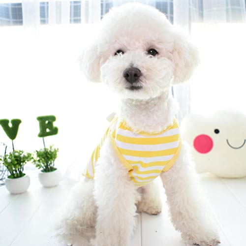 Disfraz Polo para Perro o Gato Pequeño Amarillo a Rayas miniatura 6