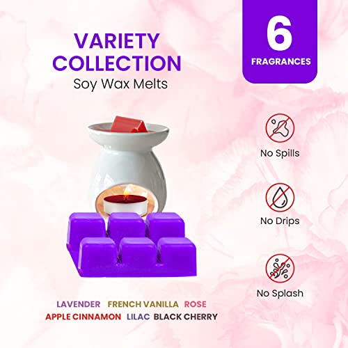 Wax Melts Variety And Fall - 12 Fragrance X 6 Cubes - Lavender, Vanilla, Rose, Apple Cinnamon, Lilac, Black Cherry, Pumpkin Spice, Apple Cinnamon, Orange Clove, Autumn Leaves, Eucalyptus Coffee Cake #TOP3