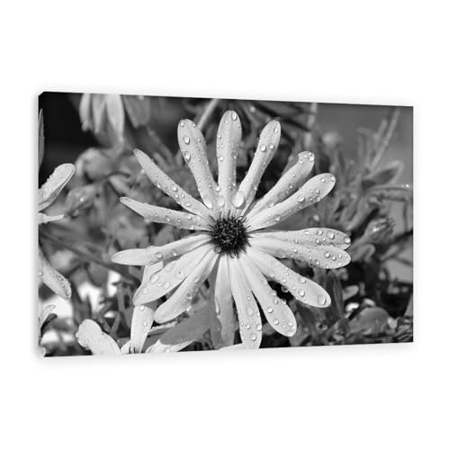 Impression sur Toile Noir et Blanc Décoration Murale Fleur GRASKY 50X75cm