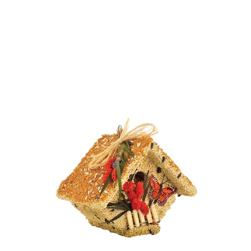 Mr. Bird All Season Wren Casita Wild Bird Seed Birdhouse 1.5 lbs.