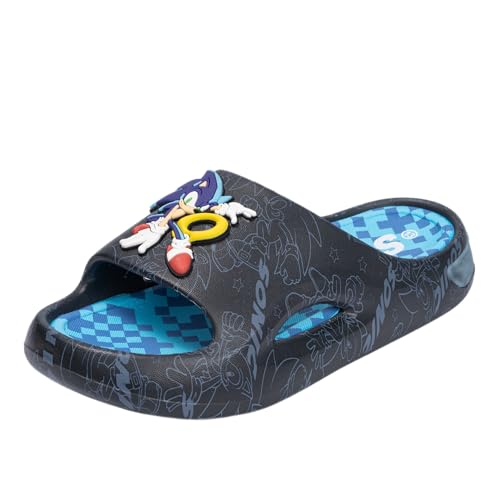 Sonic The Hedgehog SEGA and Shadow Youth Boys Slides Sandals Water Resistant Slip-On Pool Beach Summer Footwear Blue+Black Size 13 Little Kid