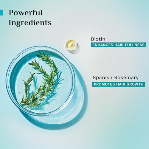 Image of Pilgrim Spanish Rosemary & Biotin Anti Hairfall Shampoo for Reducing Hair Loss & Breakage 400ml (Pack of 2) | Rosemary shampoo for hair growth | Upto 95% stronger hairs | For all hair types | For Men & Women