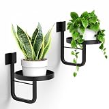 JOPBENG Wall Plant Holder, 7.9 Inch Hanging Plant Holder Wall Planters for Indoor Plants, Wall Mounted Plant Holder Window Plant Shelves for Outdoor Metal Wall Planter Black 2Pcs