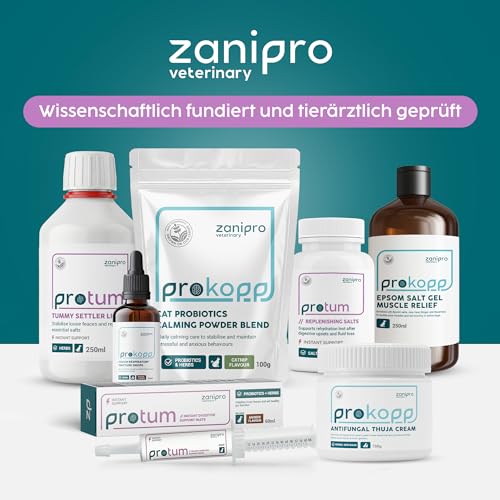 Zanipro Baldrian Beruhigung Tropfen für Hunde – Natürliche Hund Beruhigung bei Angst & Stress, Beruhigungstropfen Hund mit Baldrian & Helmkraut, Anti-Stress bei Silvester, Autofahrt & Trennung | 50 ml