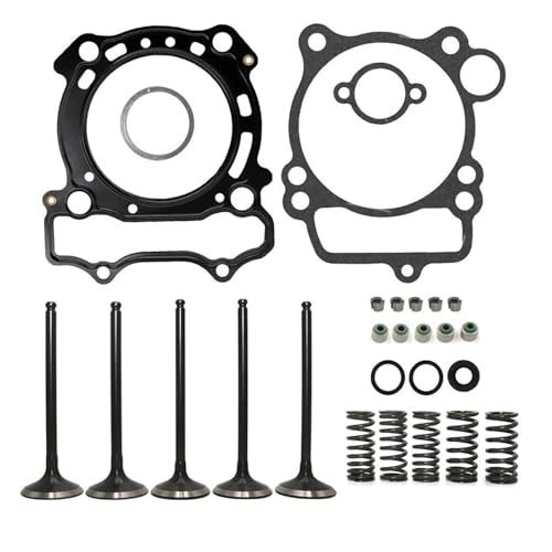 �I�[�g�o�C�̃G���W���K�X�P�b�g �ɓK������ ���}�n YZ250F WR250F 2001 2002 2003 2004 2005 2006 2007-2013 �G���W�����i �z�C �r�C�o���u �V�[�� �X�v�����O �K�X�P�b�g �R�b�^�[