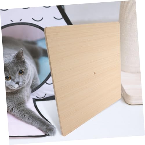 Étagère pour escalade intérieure planche d'observation chat