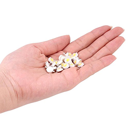 100Pz Chip ad Alta Potenza LED, 1W Super Bright