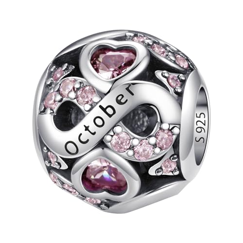 LNQOBU 925 Sterling Silver Birthstone Charms for Pandora Bracelets or Necklace with 5A Cubic Zirconia Bead Charms for Womens Birthday Gift