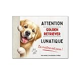 Plaque chien Golden Retriever lunatique panneau mignon attention au chien monte la garde pancarte aluminium déco de maison