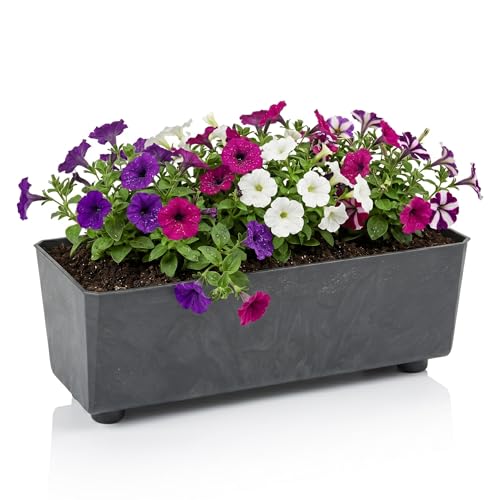 LAMELA Jardinière Rectangulaire avec Pieds Élégants – Bac À Fleurs Noir Aspect Béton en Plastique Robuste 37 x 17 cm, 6L – Résistant Aux Intempéries...