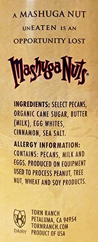 Mashuga Nuts Large Gift Canister Cinnamon Spiced Pecans #TOP1