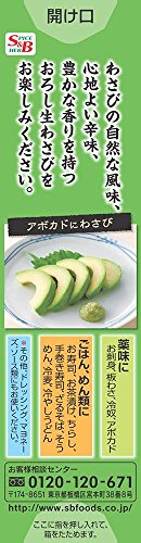 Tempero Pronto de Raiz Forte Oroshi Wasabi Nama 43g S E B Japão