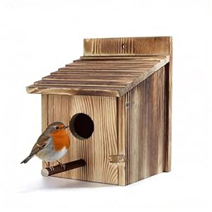 Bird Box, Afenau 15x15x22cm Bird House Wooden with Detachable Perch, Outdoor Hanging Bird Boxes for Gardens, Bird Houses for Robin Bird, Blue Tit, Sparrow, Wild Birds