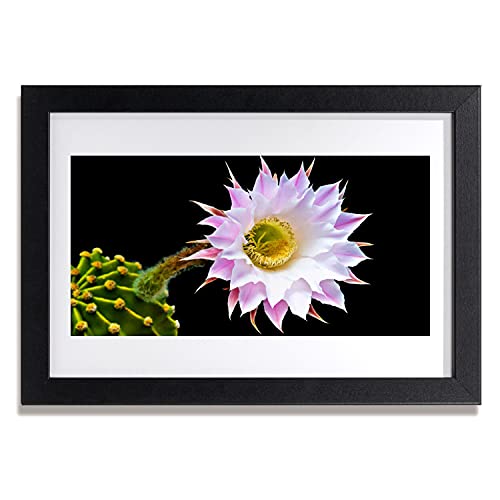 Affiche encadrée 30x20 cm fleur Tulup cadre photo salon chambre