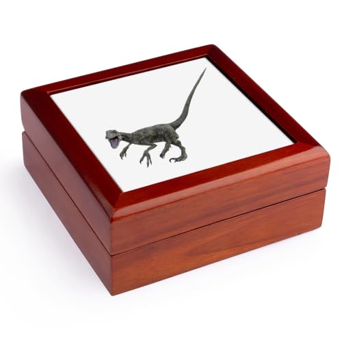 3dRose Deinonychus Jewelry Box 5.5x5.5