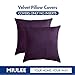 MIULEE Velvet Throw Pillow Covers 18x18 Inch, Pack of 2 - Eggplant Purple, Super Soft Decorative Square Cushion Cases Modern Luxury Home Decor for Sofa, Couch, Bed, Chair with Invisible Zipper