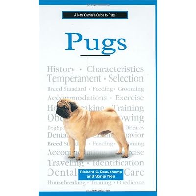 A New Owner's Guide to Pugs