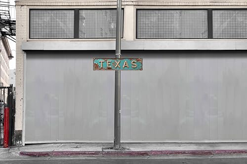 Plaque en métal Texas pour relooker un mur de bar ou club - 5
