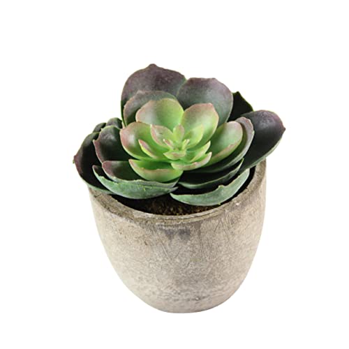LIFKOME Plantas Suculentas Falsas Decorativas Maceta Simulación De Plantas Verdes Artificiales para Decoración De Hogar y Oficina Estilo Retro
