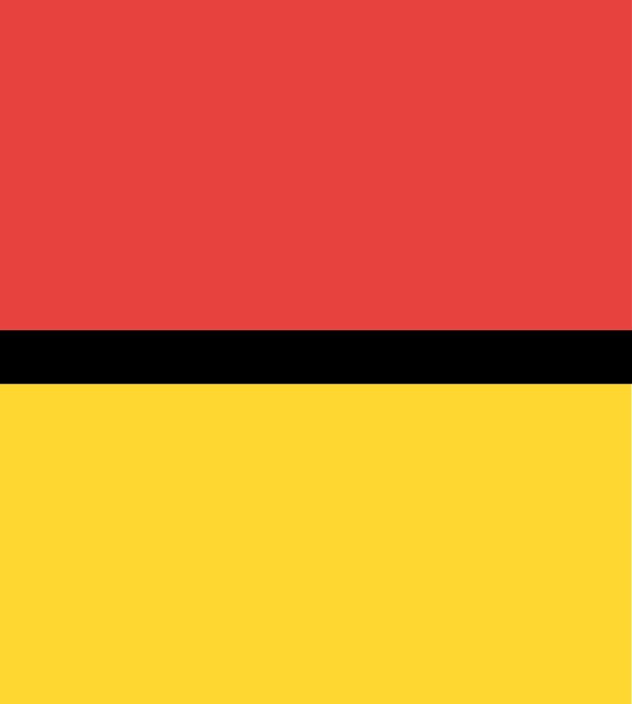 Drapeau révolutionnaire de Genève grand format ancien pour collectionneurs