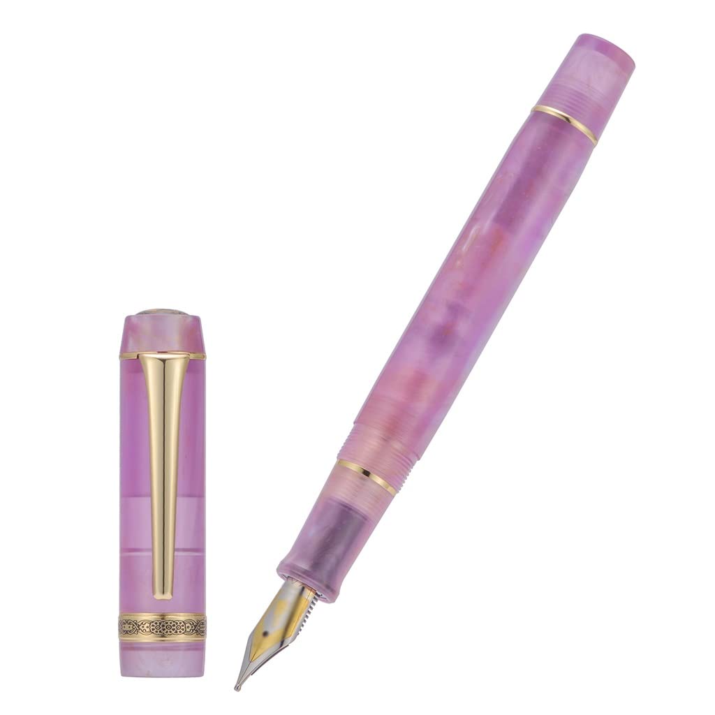 Stylo plume, belle lumière F/plume encre d'écriture bureau école