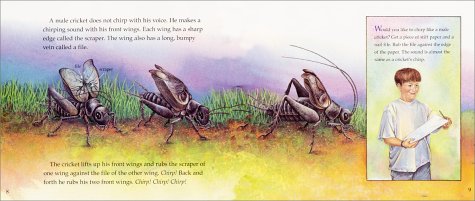 Chirping Crickets (Let's-Read-and-Find-Out Science, Stage 2)
