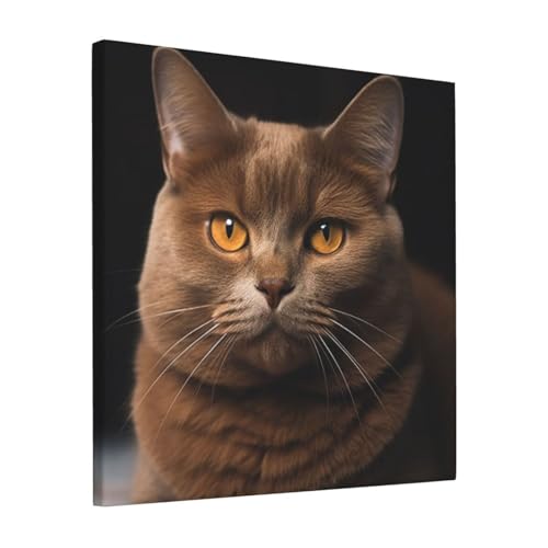 Impression sur toile chat marron tableau déco salon 30x30